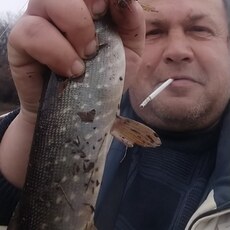 Тим, 52