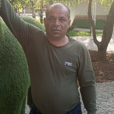 Альберт, 44