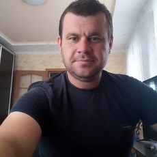 Лев, 36
