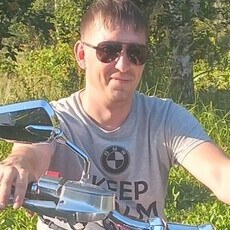 Алексей, 37