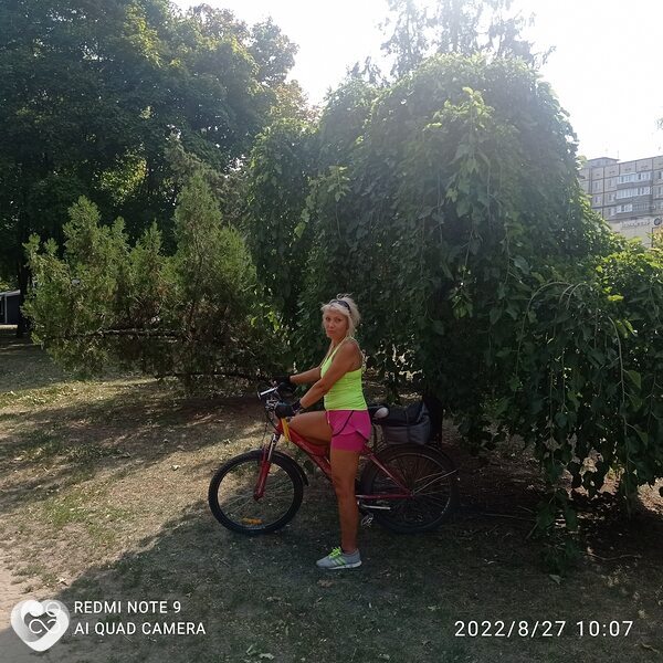 Снежа