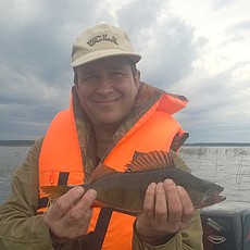Макс, 58
