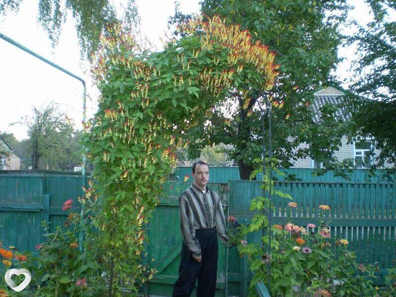 Василий