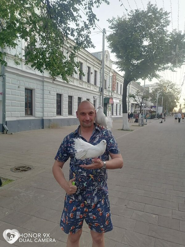 Платоша