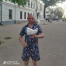 Платоша, 40