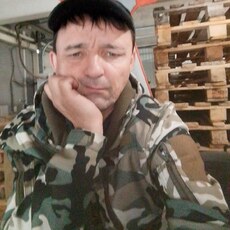 Лев, 43