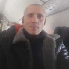 Давидик