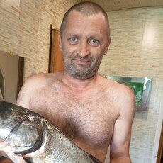 Кир, 50