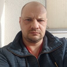 Лев, 40