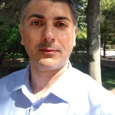 Лев, 33