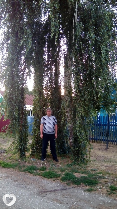 Платон