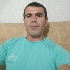 Гаврик, 41