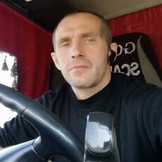 Давидик, 41