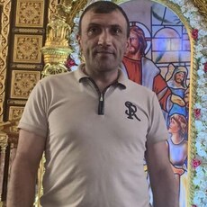 Лев, 41
