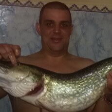 Трофим, 46