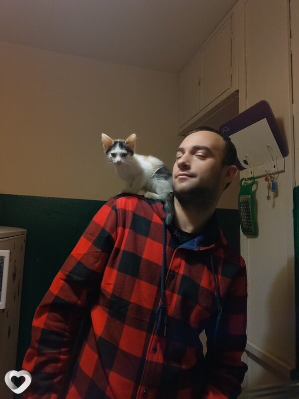 Тимур
