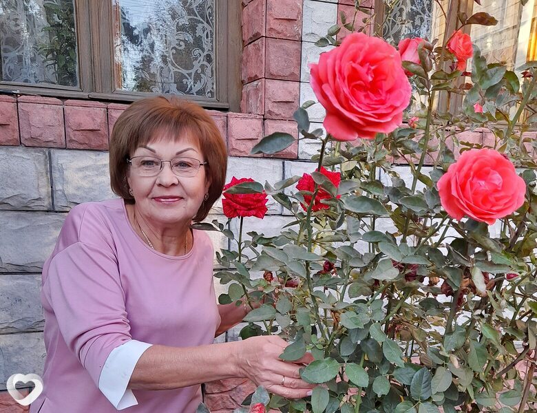 Вита