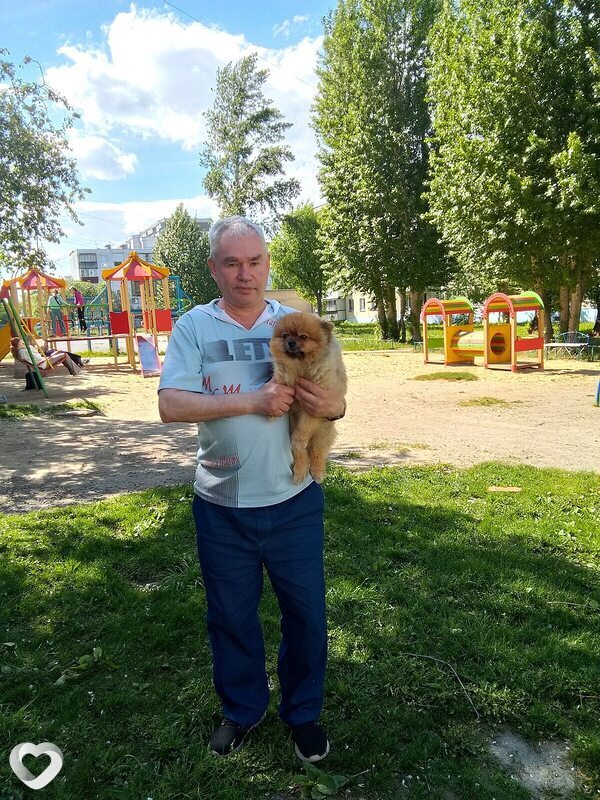 Сева