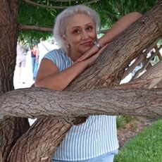 Дина, 54