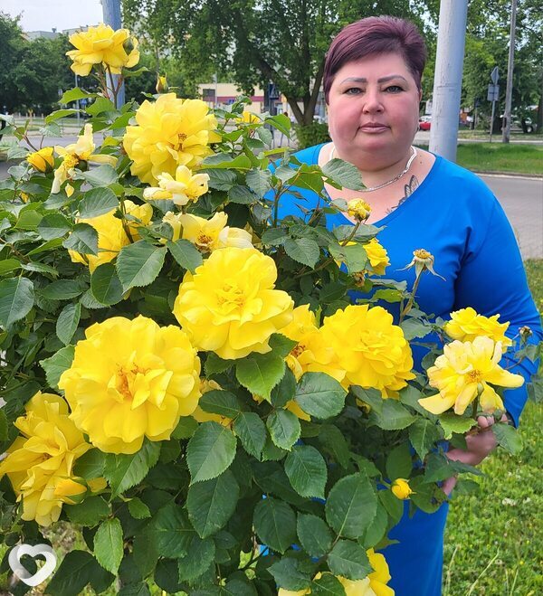 Алёна