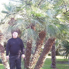 Дмитрий, 57