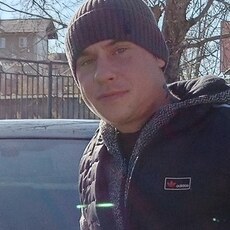 Лев, 31