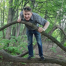 Альберт, 56