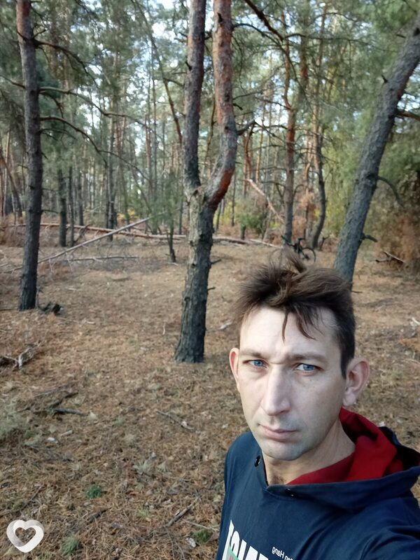 Нестор