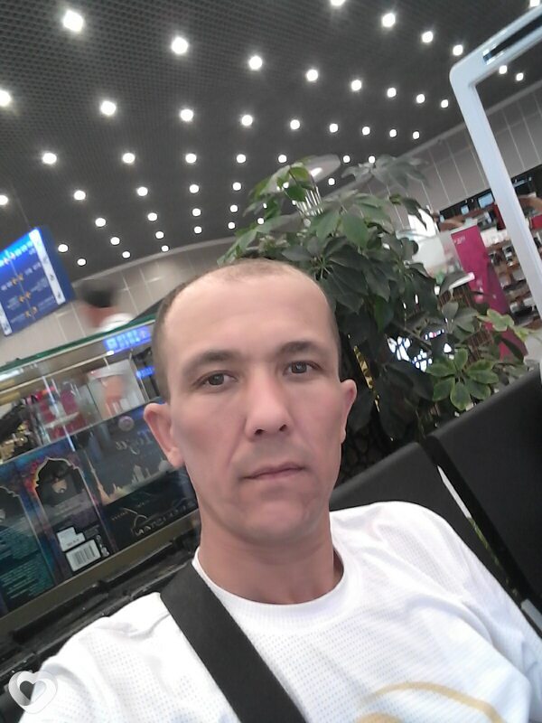Давид