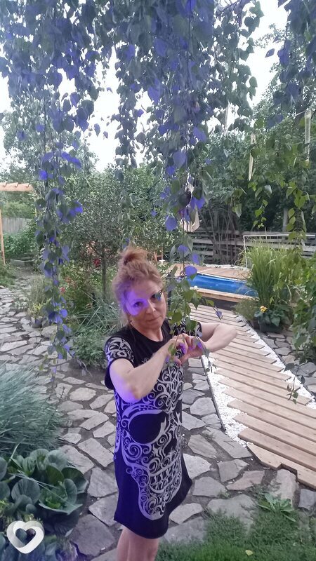 Лина