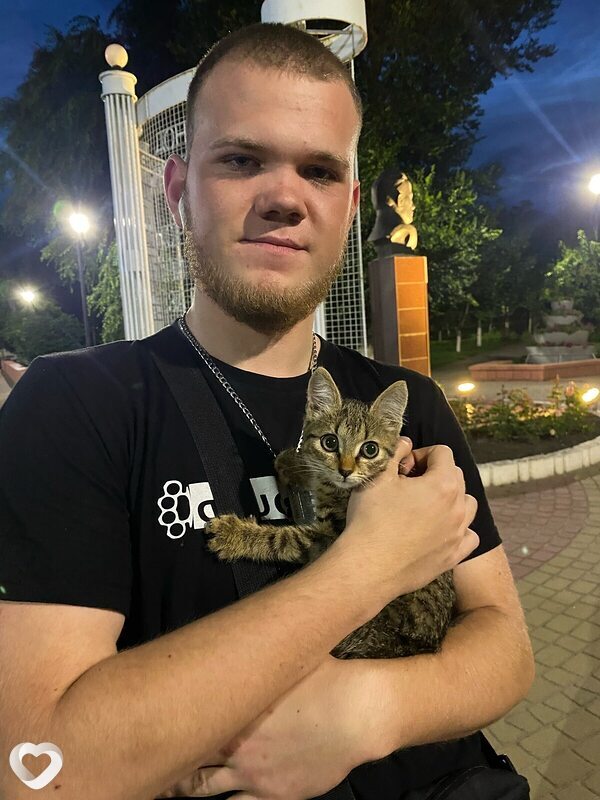 Нестор