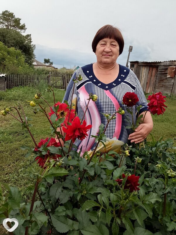 Нора