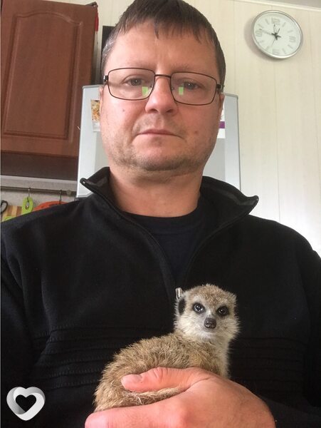 Аркадий