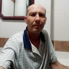 Лев, 51