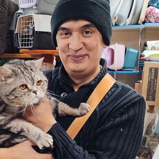Платон, 41