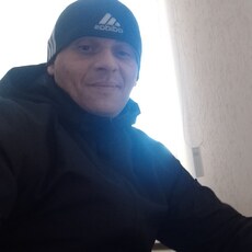 Лев, 42