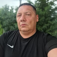 Давид, 47