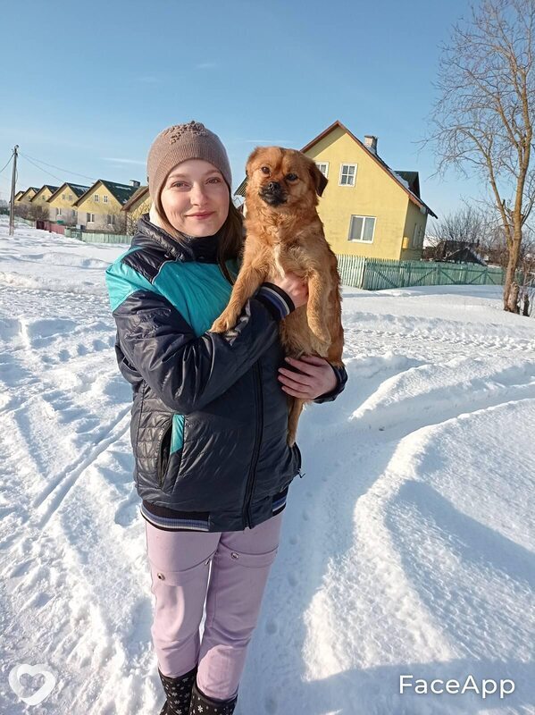 Роза