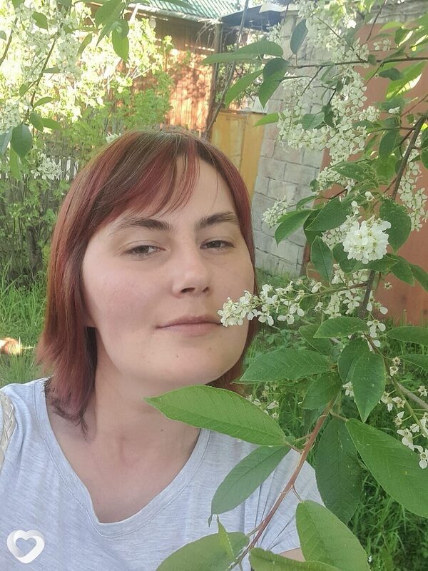 Роза