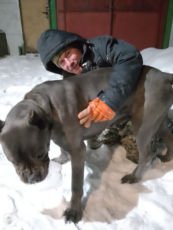 Олеж