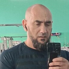 Платон, 41