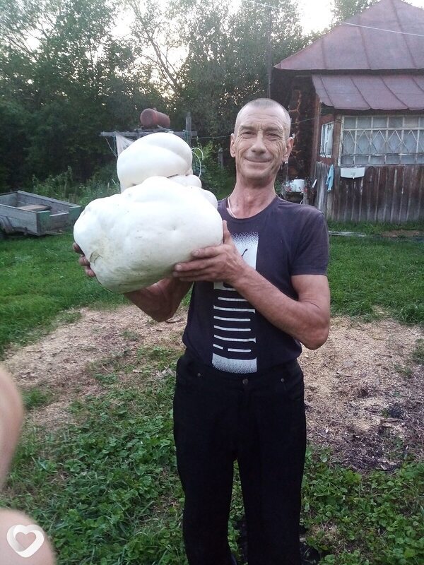 Леонид