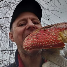 Владимир, 45