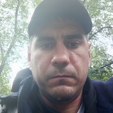 Лев, 37