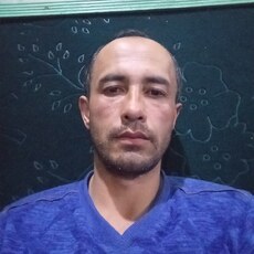 Лев, 41