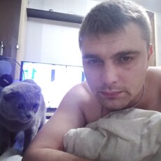 Ден, 28