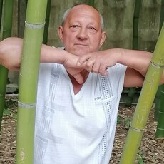 Кир, 65