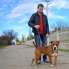 Денис, 36