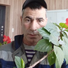 Тим, 40
