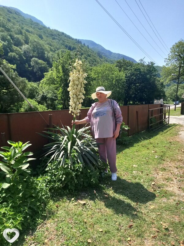 Снежана